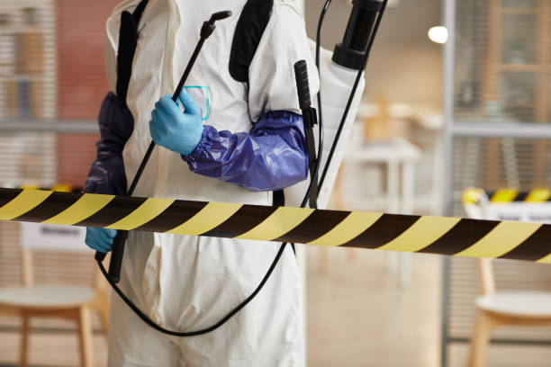 Professional Sewage Cleanup technician working in Trumbull, NE